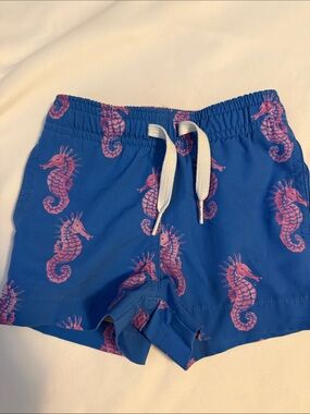 chubbies Light Blue and White Swim Trunks